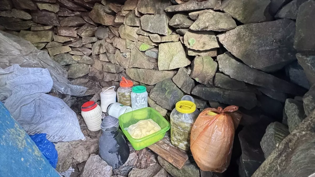 artvindeki dogal buzhaneler fmHiGvd9