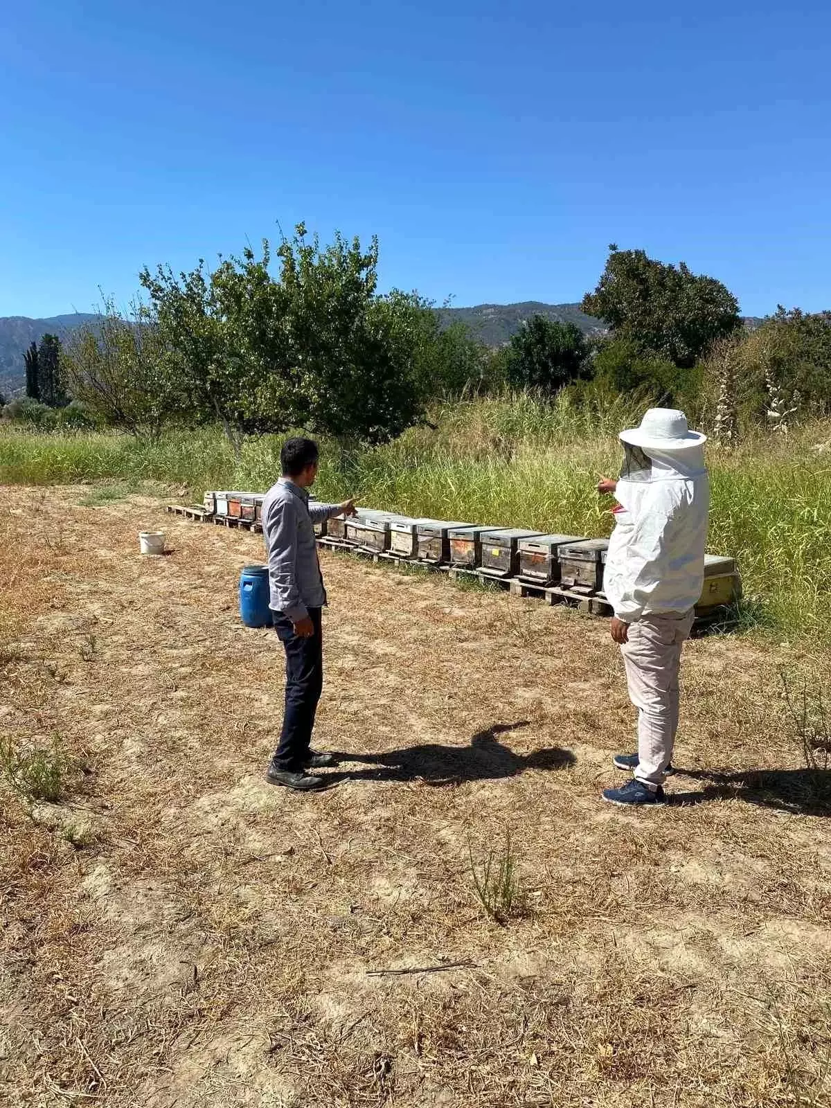 buharkentte arili kovan tespit calismalari fYNyO8nJ