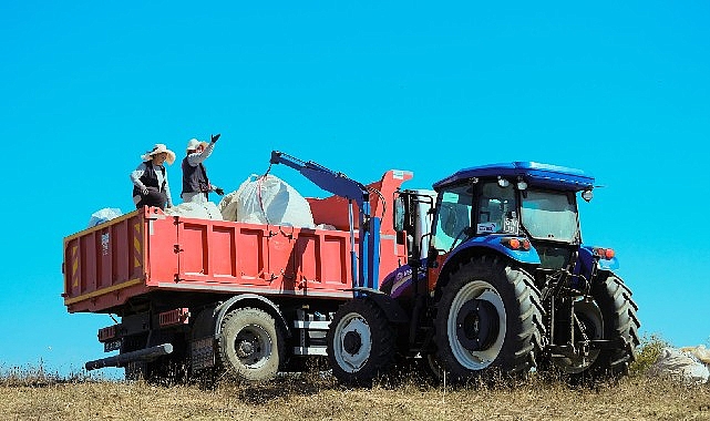 1140 dekarlik alanda biberiye zamani kkKCQrdA