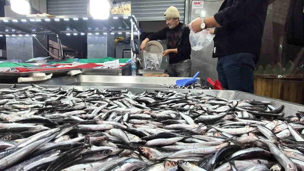 bartinda hamsi fiyatlari dusuyor NBbVEb5R.jpg