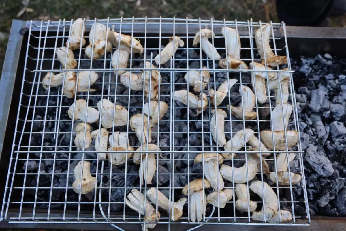 kilosu etle yarisiyor japonlarin gozdesi beyaz altinda hasat basladi YaIdCQZs.jpg