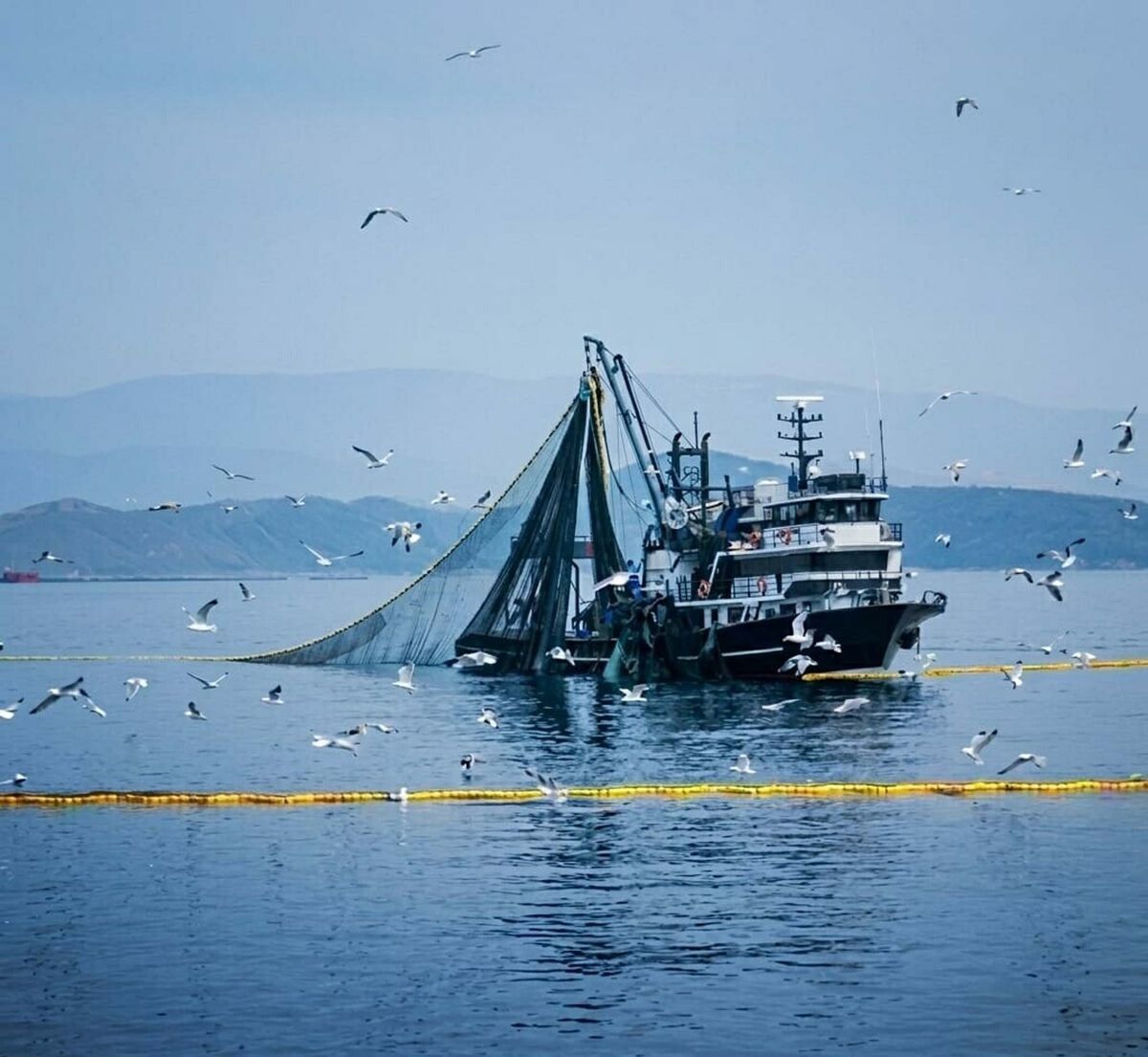 Av Yasağı 15 Nisan’da Başlayacak: Balıkçılıkta Yenilikler ve Düzenlemeler