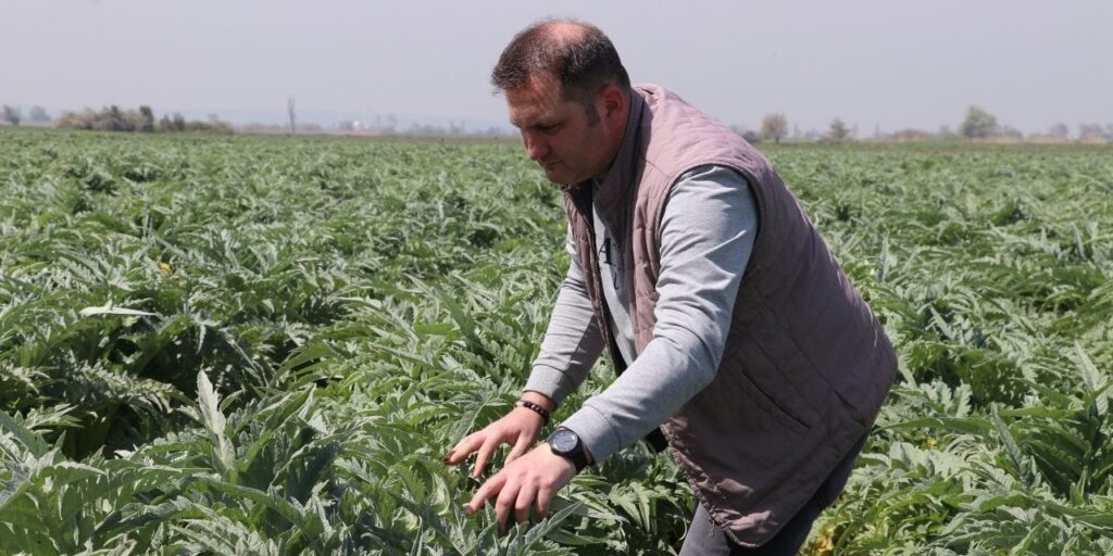 hafta-ici-masabasi-hafta-sonu-tarla-40-donumle-basladi-165-donume-ulasti-zpONsKxt