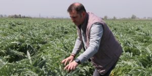 hafta-ici-masabasi-hafta-sonu-tarla-40-donumle-basladi-165-donume-ulasti-zpONsKxt